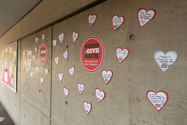 Notes from donors of Birds Give Back on heart-shaped papers.