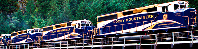 train riding on track with pine trees in background